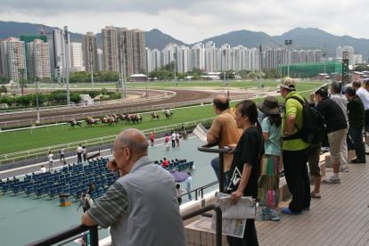 china-Racecourse-flickr.com-cucumber!-2.jpg