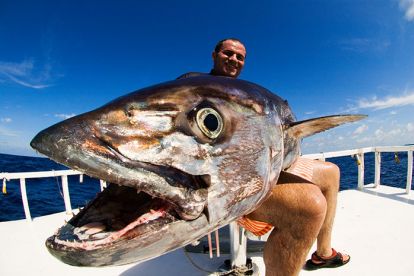 Maldives-fishing1(flickr.com-Nicola-Zingarelli).jpg