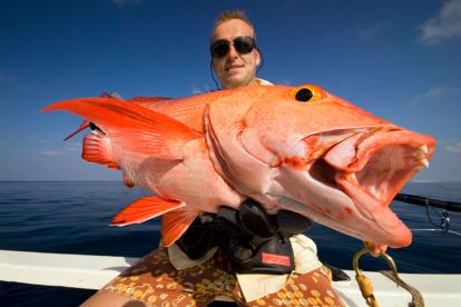 Maldives-fishing(flickr.com-Nicola-Zingarelli).jpg