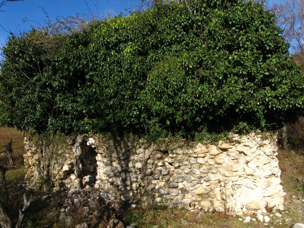 Келасурская стена в Абхазии. Великая Абхазская стена. Келасур монастырь Абхазия. Великая Абхазская стена фото. Увитый плющом тирс диониса