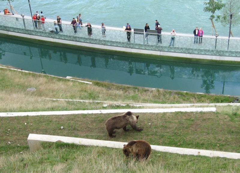 Bear park. Парк на медвежьем озере Петропавловск-Камчатский. Медвежий парк Петропавловск. Парк на медвежьем озере на Камчатке. Медведь в парке Тушино.