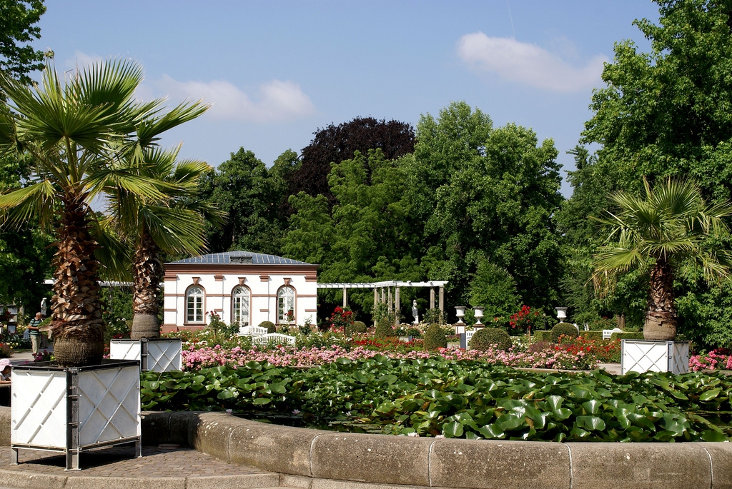 Пальменгартен франкфурт. Пальменгартен Франкфурт Palmengarten Frankfurt. Франкфуртский Ботанический сад. Ботанический сад Пальменгартен. Сад пальм во Франкфурте на Майне.