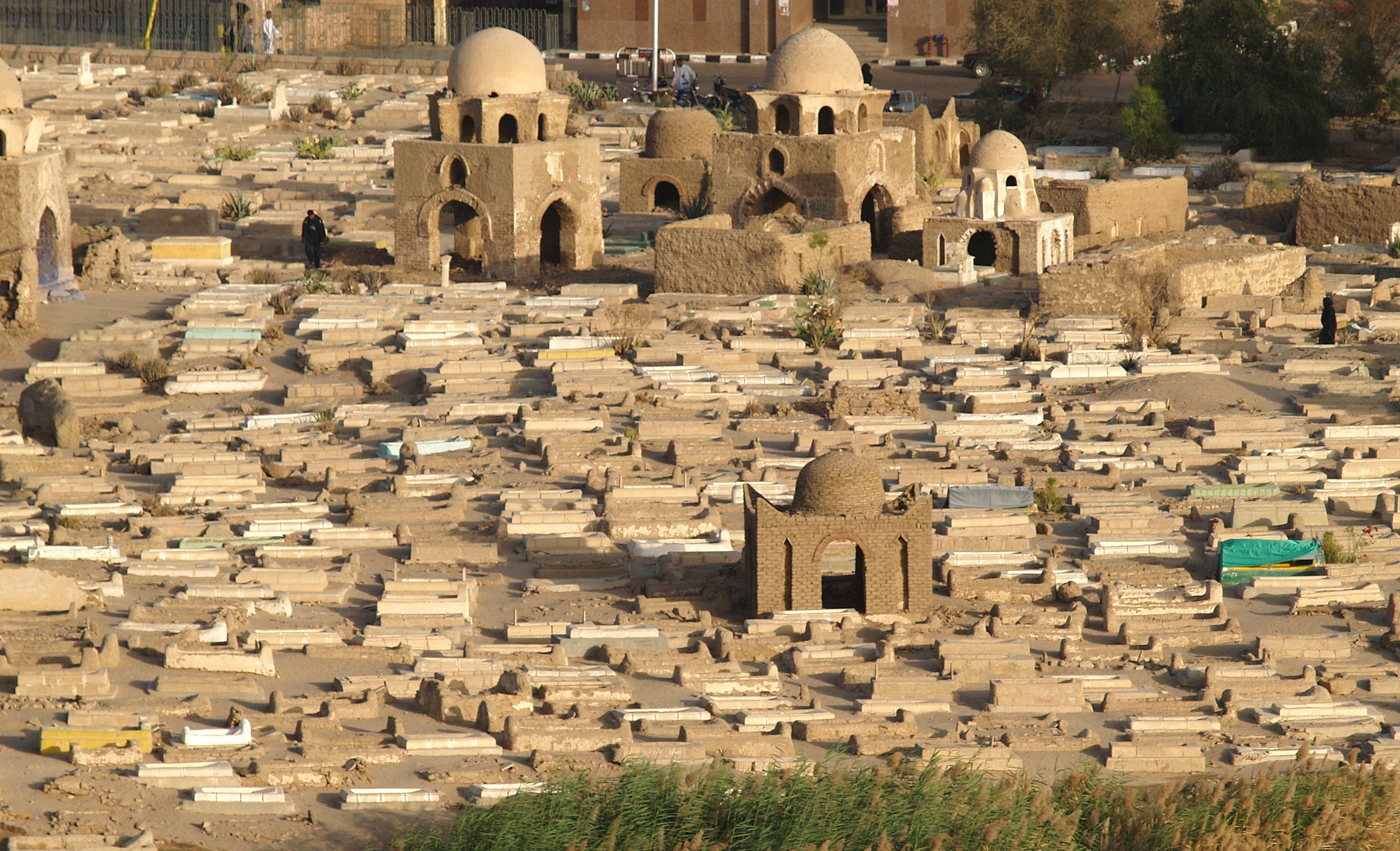 кладбище в тунисе