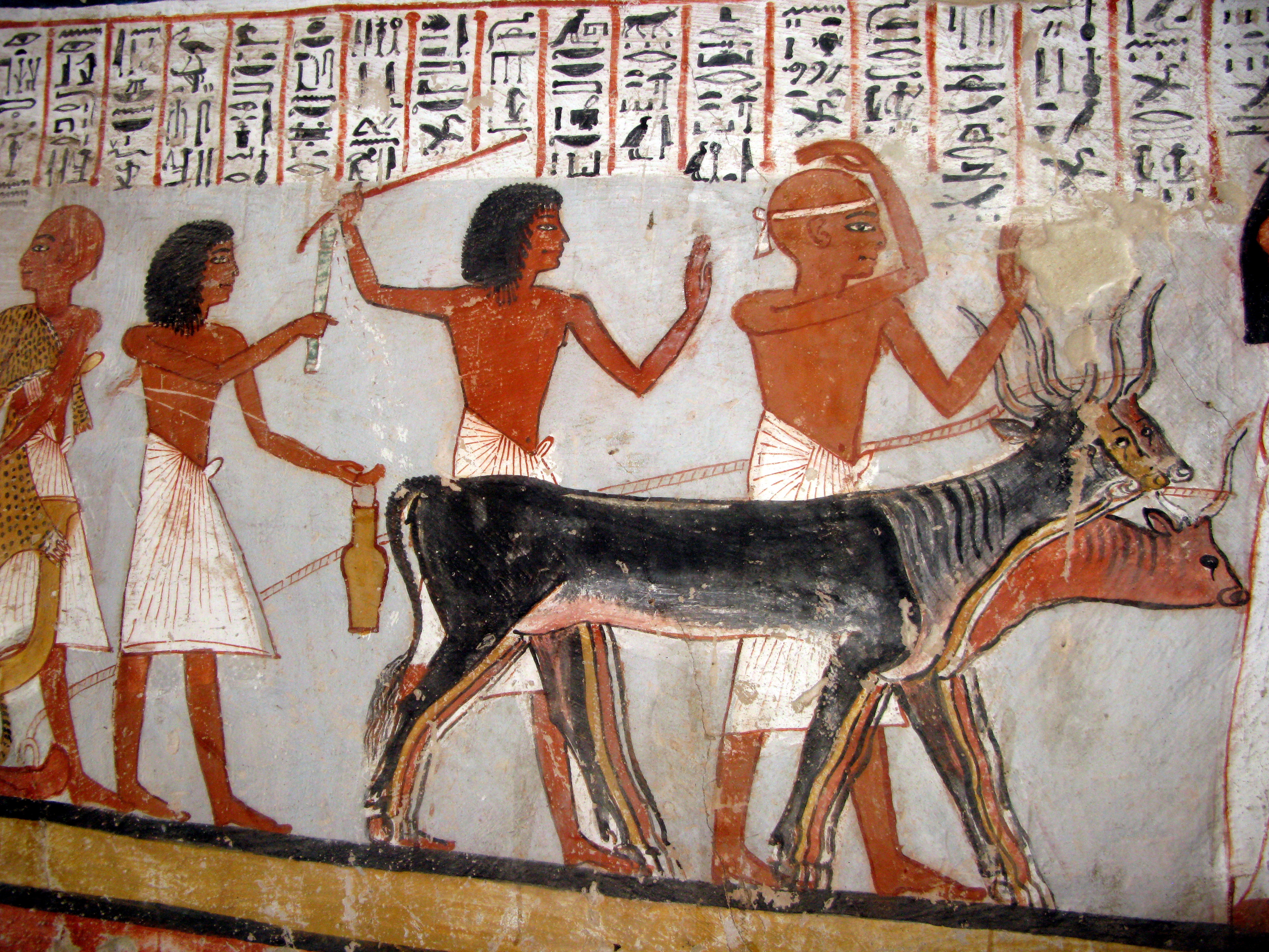 Гробница вельможи в древнем Египте