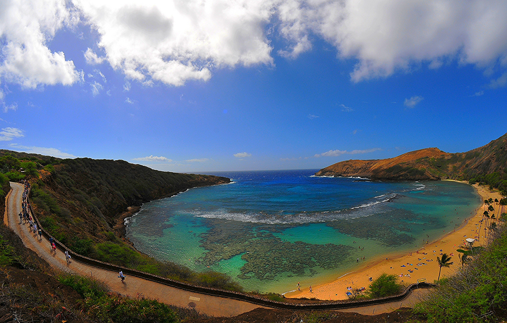 Backpages Oahu